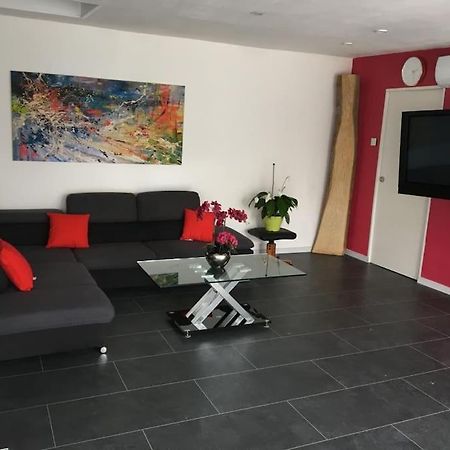 Villa Loft Le Nid De Cigogne Sélestat Esterno foto